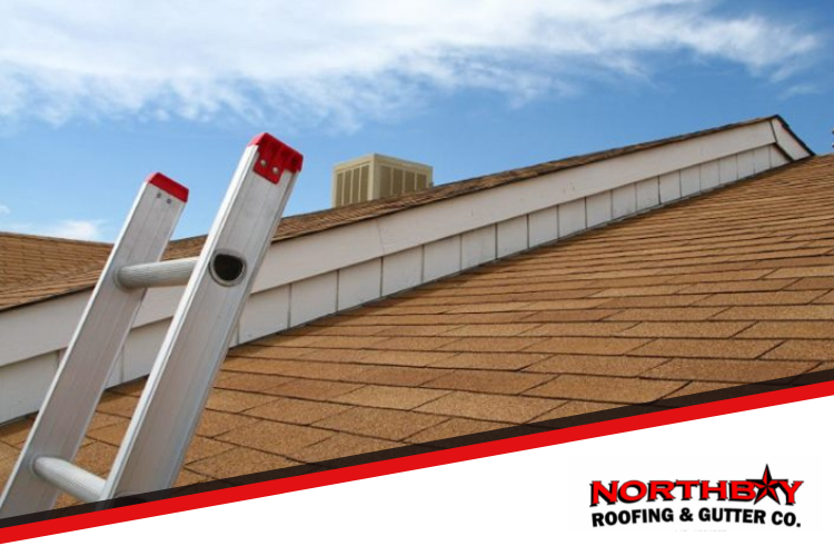 Santa Rosa Roofing Contractor: Should I Repair or Replace My Roof?