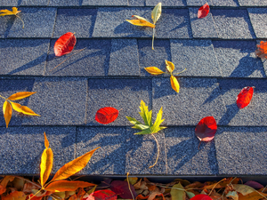 Important gutter maintenance tips from a Petaluma, California, gutter repair specialist. Schedule now by calling (707) 591-9288!