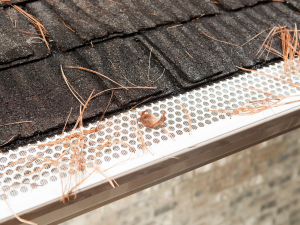 A gutter guard installed on a home, with leaves and debris visible on top.