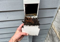 Professional Napa roofing contractor performing gutter cleaning and maintenance."