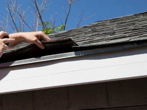 Santa Rosa homeowner inspecting roof for signs of leaks