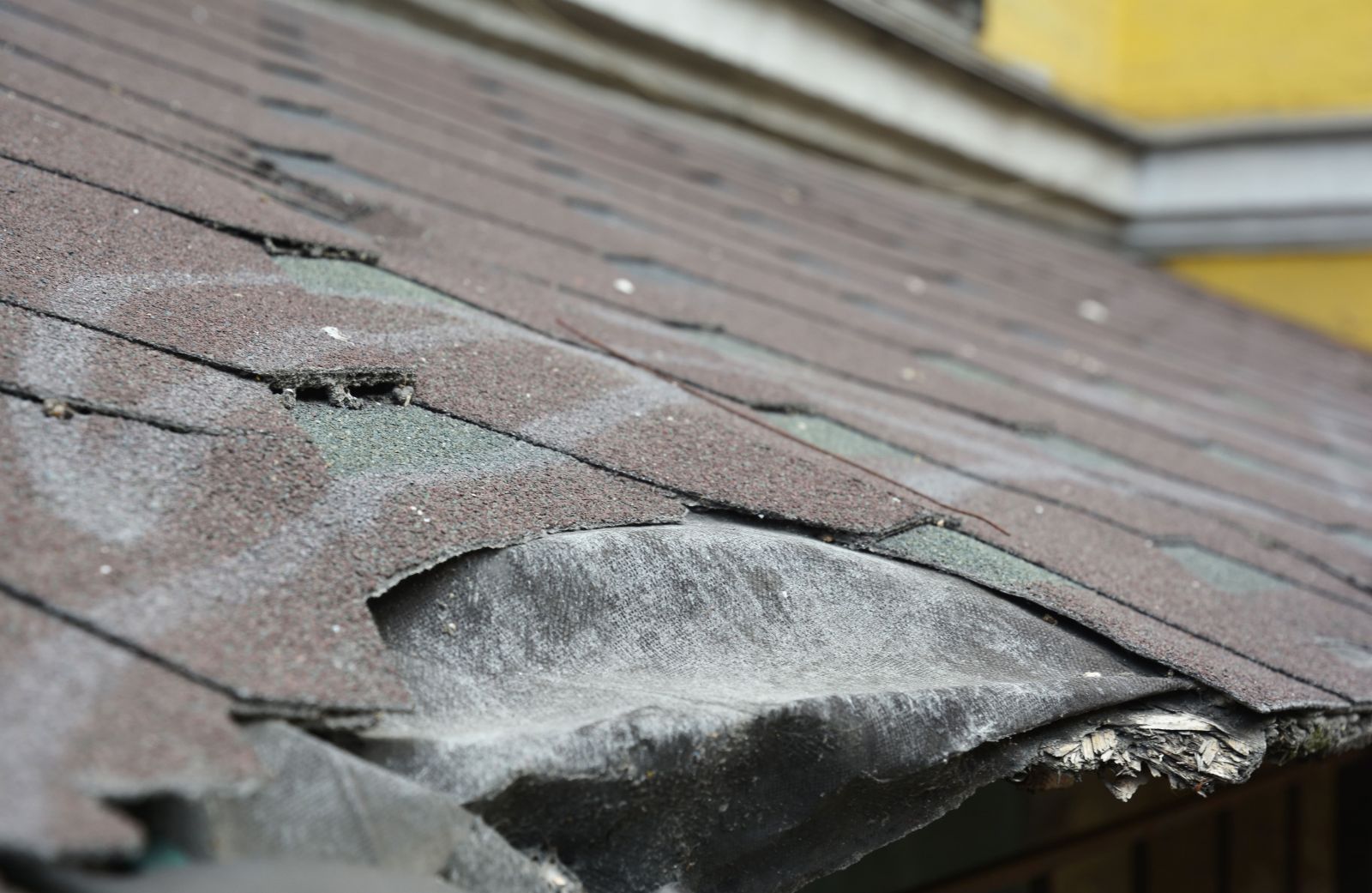 Northbay Roofing & Gutter Co. Images