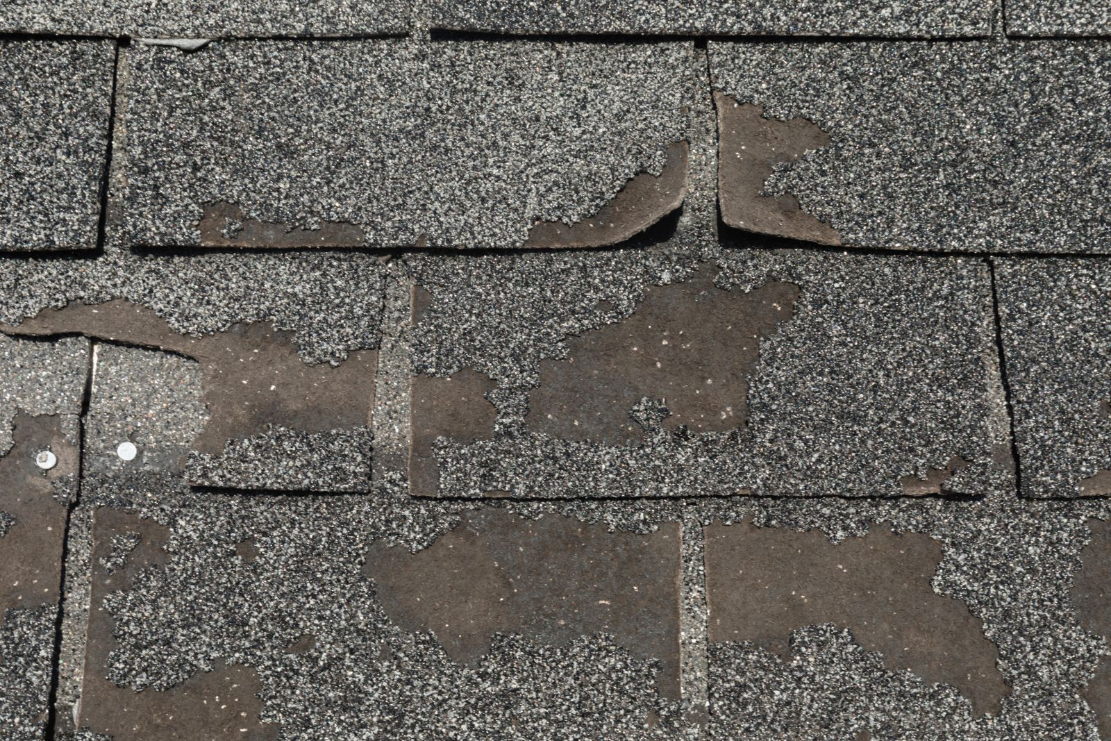 Northbay Roofing & Gutter Co. Images